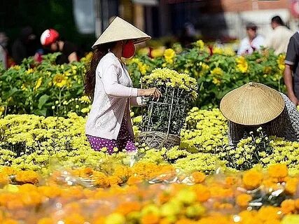 Hotspot Matrix và làng nghề tò he Xuân La_Ứng dụng Hotspot Matrix