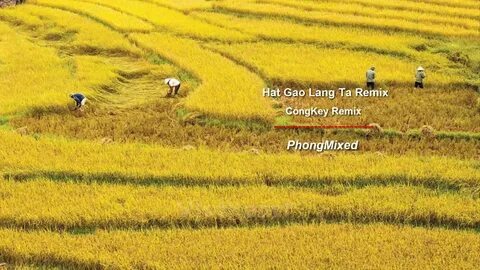 Hotspot Matrix và sự phát triển của công nghệ 5 công cụ thông minh giúp chị em giảm_Biên tập video