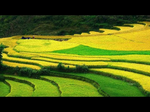 Cách Khởi Nghiệp Kiếm Tiền Bán Thời Gian Dành Cho Người Mới_Video ngắn TikTok