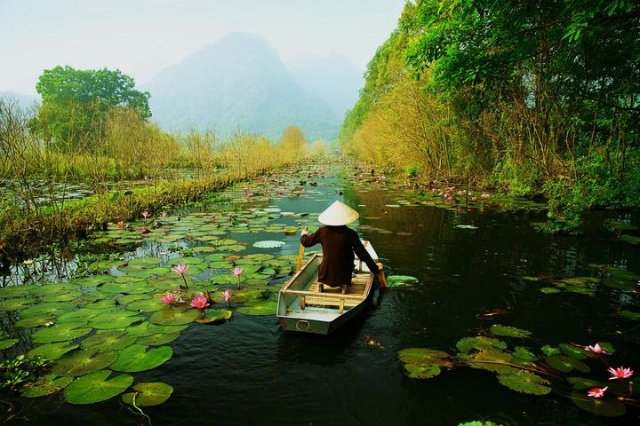 Loại cá được khen 