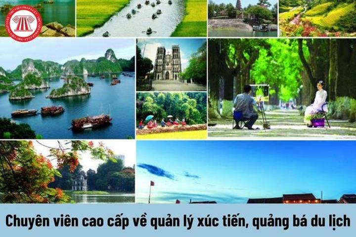 Pháo: “Nếu có thể khiến ai đó - Cảm hứng video marketing từ Hotspot Matrix