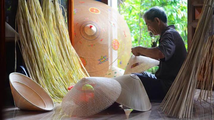 Bonobo: Nguồn Gốc Tiến Hóa Của Ngôn Ngữ Con Người?