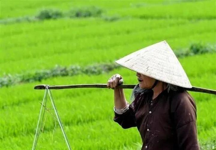 Xu hướng 2 nàng dâu hào môn hot nhất: Hotspot Matrix tiết lộ bí quyết video viral