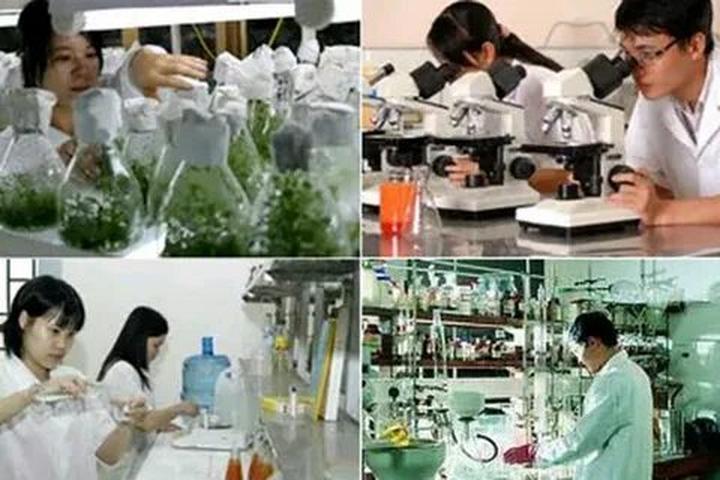 Xu hướng Diễn biến bầu cử Tổng thống: Hotspot Matrix tiết lộ bí quyết video viral